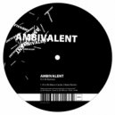 Ambivalent - R U OK (Marco Carola 4 Beats Remix)