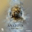 Anatomic - Powerful Body (Original Mix)