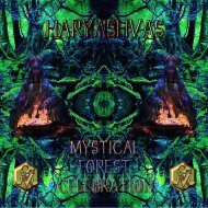 Haryashvas - OUTRO - Life is a Paradox (Original mix)
