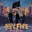 Rage Against The Machine - Sleep Now In The Fire (Black Tiger Sex Machine Remix)