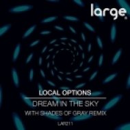 Local Options - Sweet Suprise (Original Mix)
