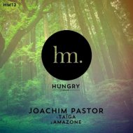 Joachim Pastor - Taiga (Original mix)