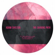 Adam Shelton - Loft Groove (Original Mix)