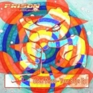 Used Disco - Moonlight (Original Mix)