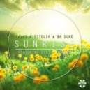 Falko Niestolik & BK Duke feat. Ellie Jackson - Sunrise (Bk Duke Ibiza Sunrise Radio Mix)
