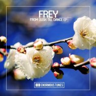 Frey - I Don\'t Want Your Number (Original Mix)