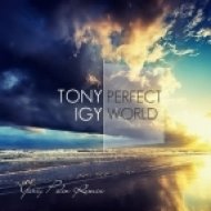 Tony Igy - Perfect world (Yuriy Pilin Remix)