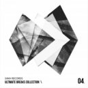 Devil Dragon Tatoo - Shake With Me (Original mix)