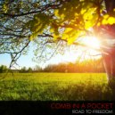 Comb In A Pocket - Rehumanization (Original Mix)