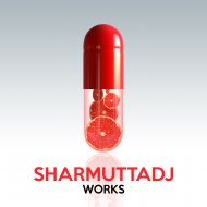 Sharmuttadj - Tonight (Original Mix)
