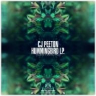 CJ Peeton - 1 AM (Song For My Baby) (Original Mix)
