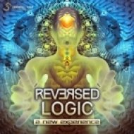 Reversed Logic - A New Experience (Original mix)