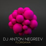 Dj Anton Negreev - Arrow And Bow (Original Mix)