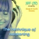 Jeff (FSi) - The technique of awakening (Original mix)