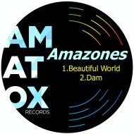 Amazones - Beautiful World (Original Mix)
