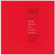 Calvin Harris - How Deep Is Your Love (Halfway House Remix)