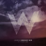 Jakwob ft. Tiffani Juno - Somebody New (Sane Remix)