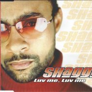 Shaggy - It Wasn\'t Me (Crash & Burn Remix)