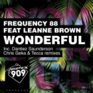 Frequency 88 Ft. Leanne Brown - Wonderful (Original Mix)