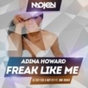 Adina Howard - Freak Like Me (DJ Sky Fox & Art Fly feat. DNK Radio Edit)