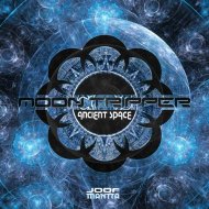 Moon Tripper - Space Shamans (Original mix)