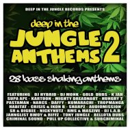 Tony Jungle - Look Into My Eyes (Original mix)