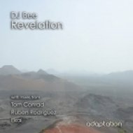 Dj Bee - Revelation (Tom Conrad Dub)
