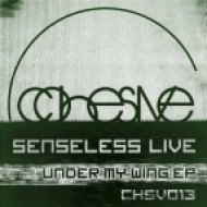 Senseless Live - Sunrise Pilgrum (Original Mix)