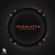 Madness Express - Tribalypto (Original mix)