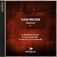 Thysfunktion - Delete (Original Mix)
