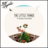 Big Gigantic - The Little Things (ft. Angela McCluskey)
