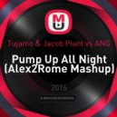 Tujamo & Jacob Plant vs ANG - Pump Up All Night (Alex2Rome Mashup)