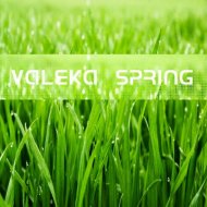 VALEKA - Spring (DnB Mix) ()