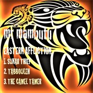 Mr. Mambutu - Sukar Thief (Original Mix)