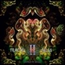 Complement & Darkshire - Pacododos (Original mix)