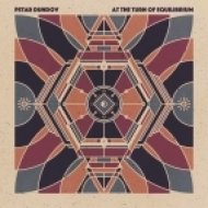 Petar Dundov - Midnight Orchestra (Original Mix)