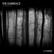 The Darkface - Sir Castor Troll (Original mix)