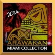 DJ Phyzix feat. Slayer - Andide (Original Mix)
