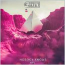 Arys - Nobody Knows (Original Mix)