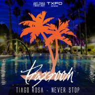 Tiago Rosa - Never Stop (Original Mix)