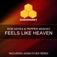Rob Hayes & Pepper Mashay - Feels Like Heaven (Funk Fuel Remix)