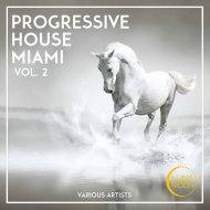 Bem L.S.D. - My Feelings (Original Mix)