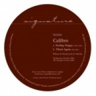 Calibre - Think Again (Original mix)