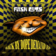 FLASH CATS - Hurt You So (Original Mix)
