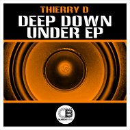 Thierry D - Looking Back (Original Mix)