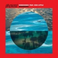 Robosonic feat. Son Little - Drowning (Dub)