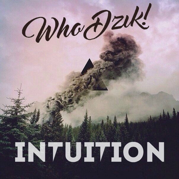 Who Dzik - Intuition (Original mix)