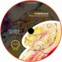 Musiktrotter - Phoenix (Original Mix)