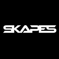 Reese - Station Of The Groove (Skapes Re-Groove)