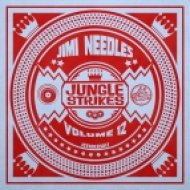 Jimi Needles - Jamrockin\' (Original mix)
